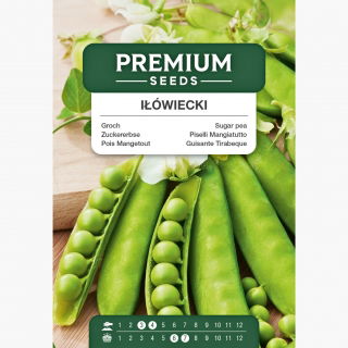 Groch Iłówiecki - cukrowy