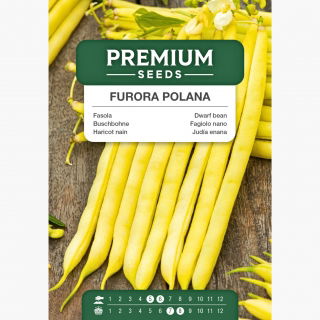 Fasola Furora Polana - smaczna i odporna na choroby!