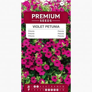 Petunia fiołkowata