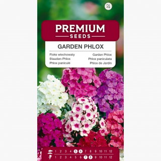 Floks wiechowaty - kolorowa mieszanka