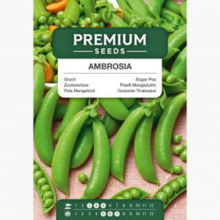 Groch Ambrosia - cukrowy