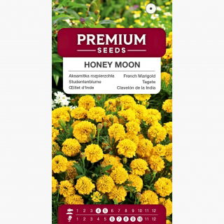 Aksamitka Honey Moon - rozpierzchła, żółta