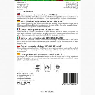 Sałata - mieszanka odmian -  NA TAŚMIE