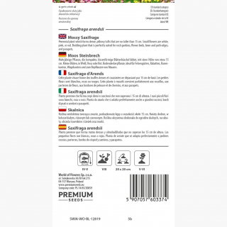 Skalnica - kolorowy dywan w ogrodzie!