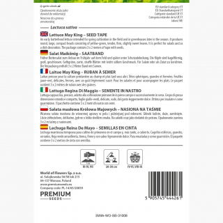 Sałata Królowa Majowych - masłowa - NA TAŚMIE