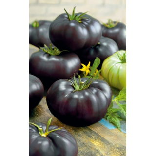 Pomidor Black Beauty – mięsisty, wysoki, gruntowy, słodki, czerwony w przekroju – HIT!