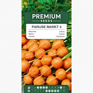 Marchew Pariser Markt 4 - wczesna