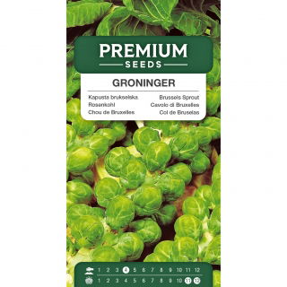 Kapusta brukselska Groninger - zielona brukselka