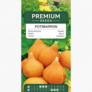 Dynia olbrzymia Potimarron