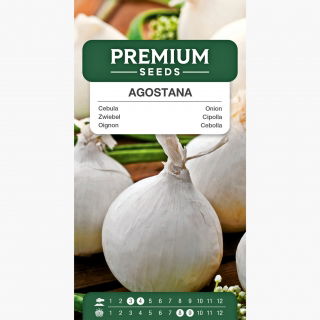Cebula Agostana - biała, średnio wczesna