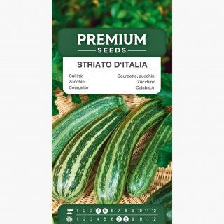 Cukinia Striato d'Italia