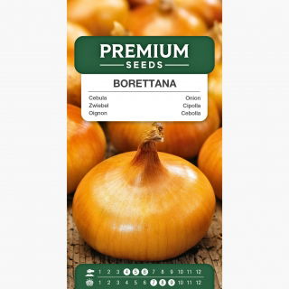 Cebula Borettana - odmiana do grillowania i marynowania