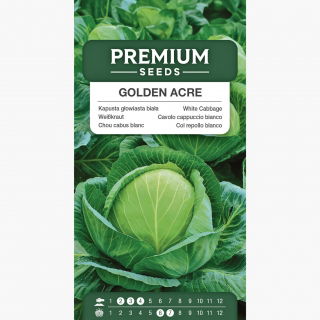 Kapusta głowiasta biała Golden Acre - wczesna, główki zielono-żółtawe