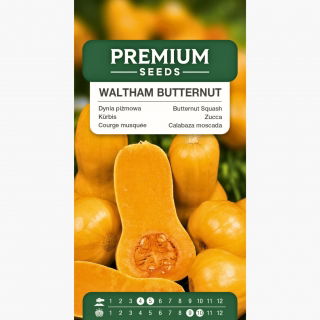 Dynia piżmowa Waltham Butternut