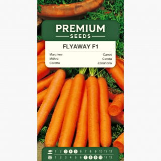 Marchew Flyaway F1 - średnio wczesna