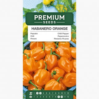Papryka Habanero Orange - ostra, pomarańczowa