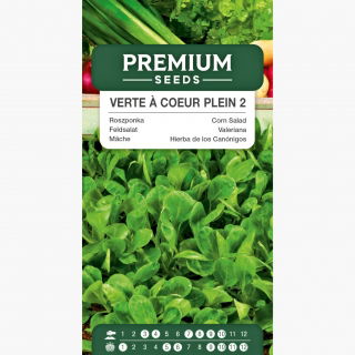 Roszponka warzywna Verte a coeur plein