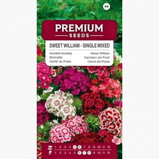 Goździk brodaty - mieszanka o kwiatach pojedynczych