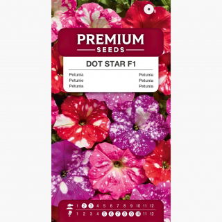 Petunia Dot Star F1 - Mix