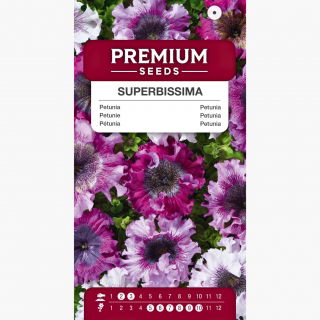 Petunia Superbissima Mix - olbrzymie kwiaty do 16 cm