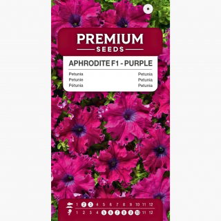 Petunia Aphrodite F1 - Purple