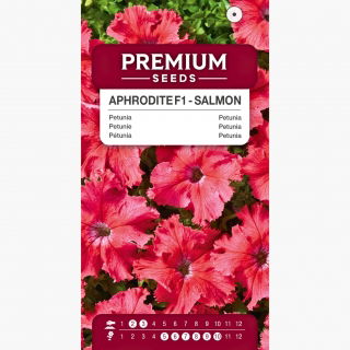 Petunia Aphrodite F1 - Salmon