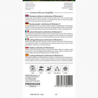Sałata Lentissima a Montare 3 - rzymska, jasnozielona