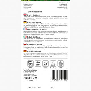 Endywia De Meaux - kędzierzawa