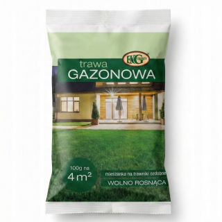 Trawa Gazonowa - dosiewka, do regeneracji ubytków w trawniku - 100 g