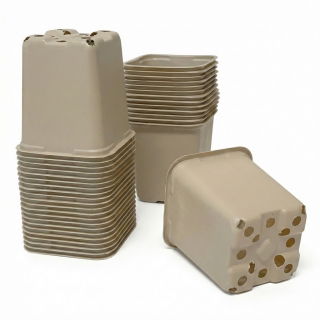 Doniczka kwadratowa 8x8 cm - beżowa - 20 szt.