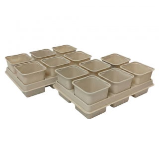 Doniczka kwadratowa 8x8 cm - beżowa - 12 szt. + dwie tacki