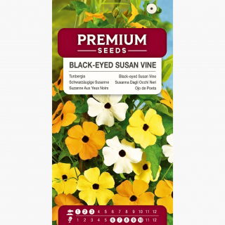 Tunbergia - kolorowa mieszanka