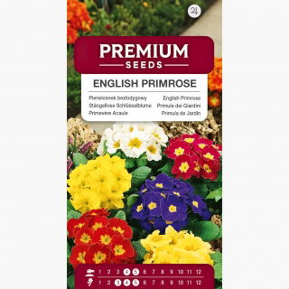 Pierwiosnek bezłodygowy