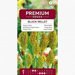 Sorgo czarne