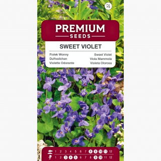 Fiołek Wonny ( Viola Odorata )