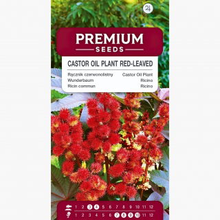 Rącznik czerwonolistny - Kasztanowiec