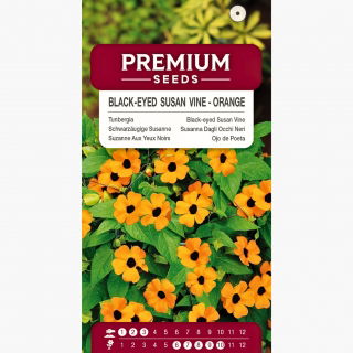 Tunbergia pomarańczowa