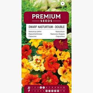 Nasturcja pełna karłowa