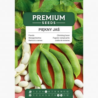 Fasola Piękny Jaś - tyczna