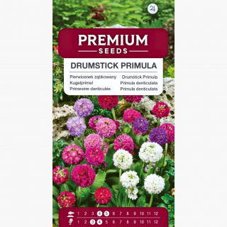 Pierwiosnek ząbkowany