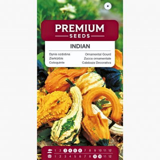 Dynia ozdobna Indian