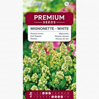 Rezeda wonna - biała