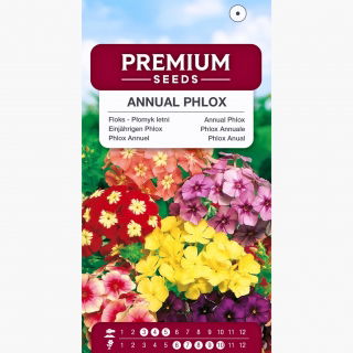 Floks - Płomyk letni