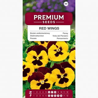 Bratek wielkokwiatowy Red Wings - żółto-brązowy