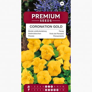 Bratek wielkokwiatowy Coronation Gold