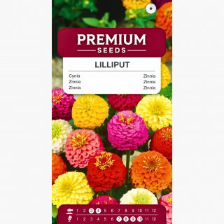 Cynia Liliput - mieszanka