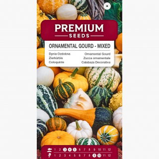 Dynia ozdobna - mieszanka