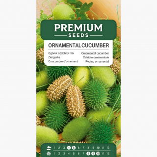 Ogórek ozdobny - mieszanka