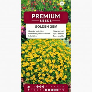 Aksamitka Golden Gem - wąskolistna, złotożółta