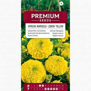 Aksamitka wzniesiona cytrynowożółta